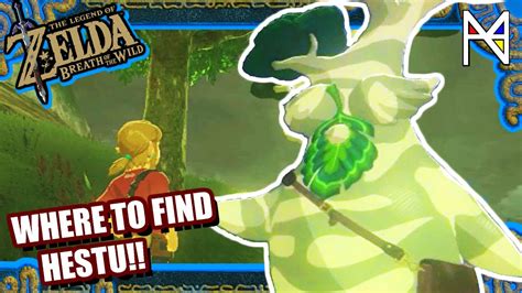 hestu botw|where to find hestu botw.